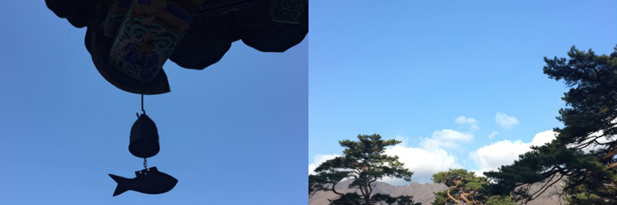 Way to Find Your Mind - Tongdo Temple Temple Stay