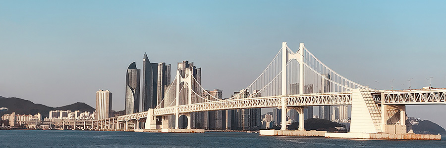 코로나19와 시작된 나의 부산대 유학 생활기